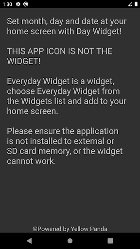 Day Widget Screen 2