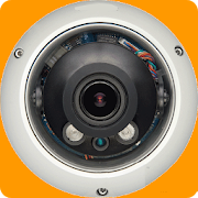 IP Camera Config