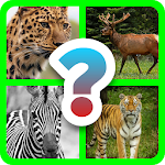 Cover Image of Télécharger Find out the Animals  APK
