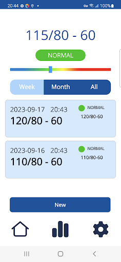 Blood Pressure Diary Screen 2
