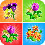 Flower memory games icon