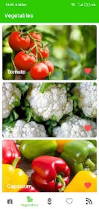 Home Garden 3