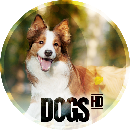 Dogs wallpapers for phone 2.2.5 Icon