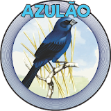 AZULÃO icon