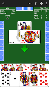 Pinochle - Expert AI Unknown