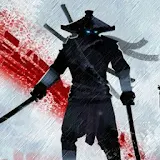 Guide Ninja Arashi II Storm icon