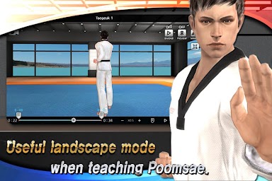 Taekwondo Poomsae Master