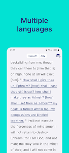 Daily: Bible Note Taking