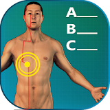 Acupuncture Quiz 3D - human icon