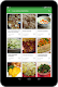 screenshot of Low Calorie Recipes