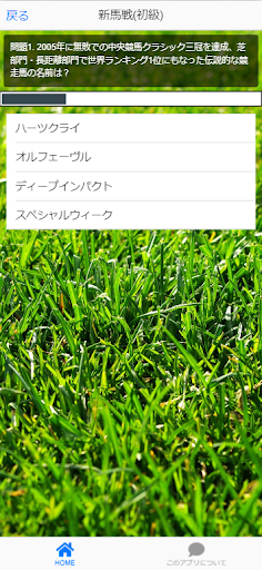 競馬クイズゲーム Screen 2