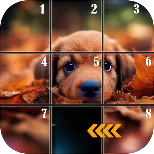 Swap Block - Sliding Puzzles logo