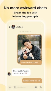 Ping! – Verified Chats 2