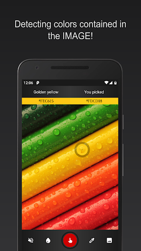 Color Detector Screen 2