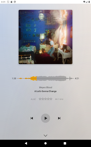 Screenshot of Plexamp