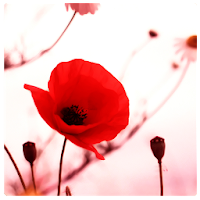 62 Law of Attraction Love Affirmations