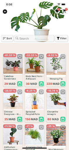 EasyWays Screen 2