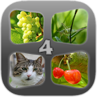 Guess the 4 Pics In 1 Word 2.0.1
