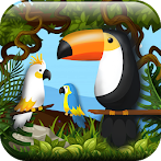 Hidden Pigeon Game Find Birds
