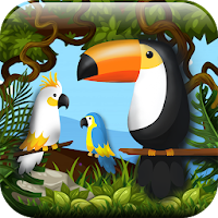 Hidden Pigeon Game Find Birds