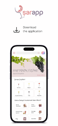 Sarapp Screen 2