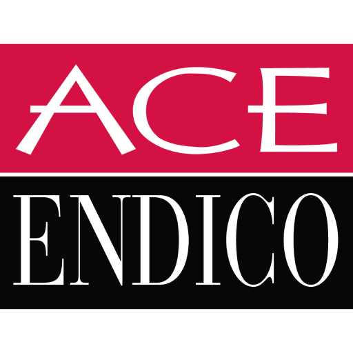 Ace Endico  Icon