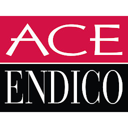 Ace Endico: Download & Review