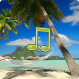 Tropical Sounds - Nature Sound icon
