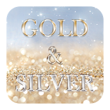 Gold and Silver Theme icon