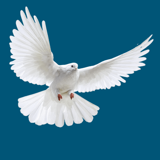 Open Heavens Devotional logo