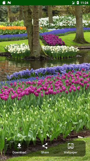 Download Garden Wallpapers Free for Android - Garden Wallpapers APK  Download 