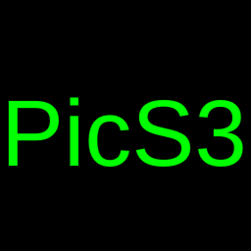 PicS3 logo