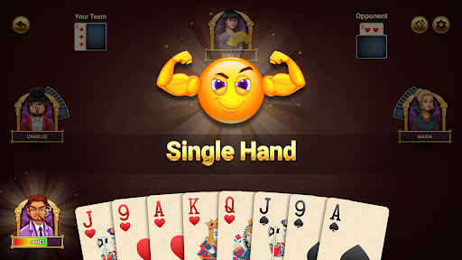 29 Royal Pro Card Game Offline