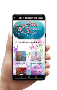 Cherry blossom wallpapers