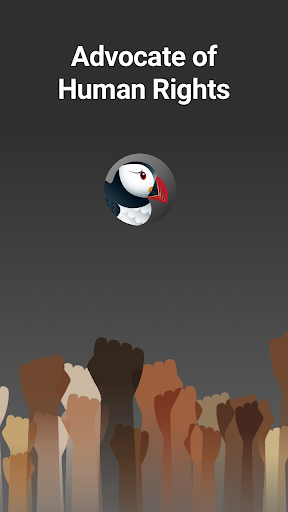 Puffin Incognito Browser Screen 3