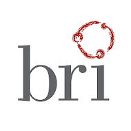 BRI-OK APK