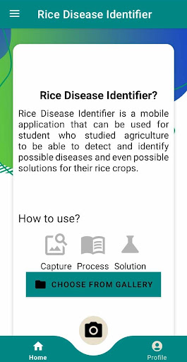 Rice Disease Identifier Screen 3