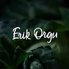 Erik Orgu