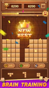 Block Puzzle Wood Blast 5