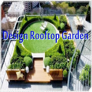 Design Rooftop Garden