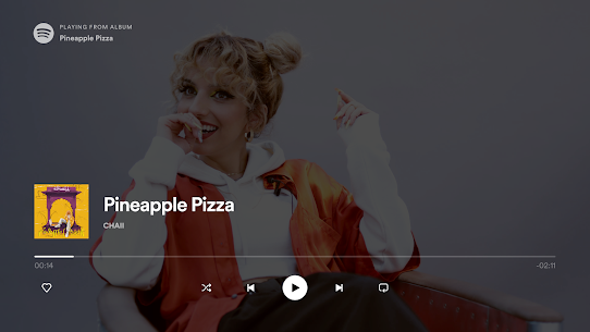 Espacioapk – Descargar Spotify Music para TV APK 2024 5