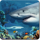 Shark Reef Live Wallpaper icon