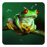 Frog Sounds icon