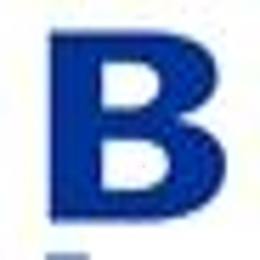Braddy Insurance, Inc Online logo