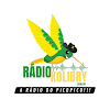 Rádio Kolibry icon