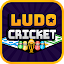 Ludo Cricket - Dice Board Games