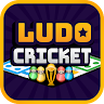 Ludo Cricket - Dice Board Games