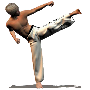 Taekwondo Forms (Sponsored)