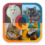Animal Quiz - Guess animal game to learn animals Apk