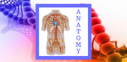 Human anatomy learn easy Biology Diagrams